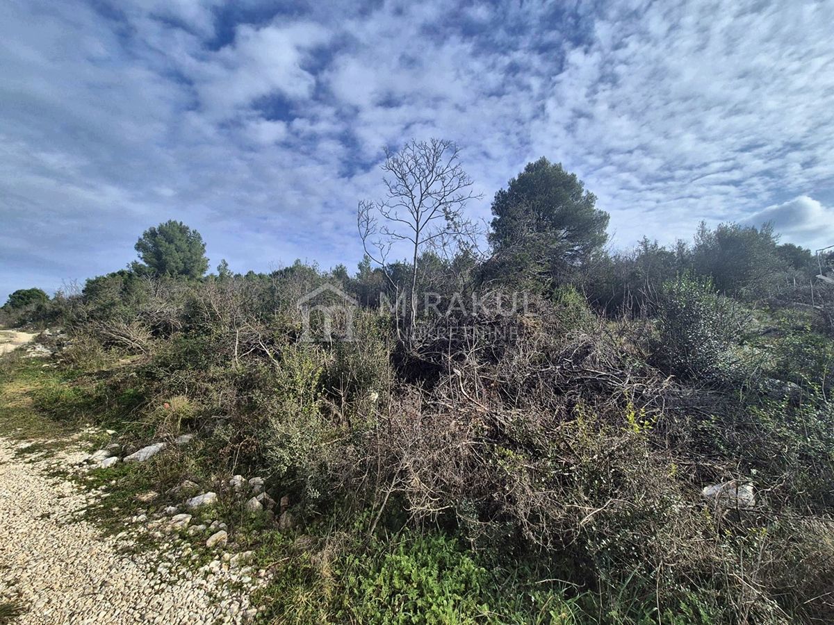 Nekretnine Bilice, Građevinsko zemljište za vilu – 3