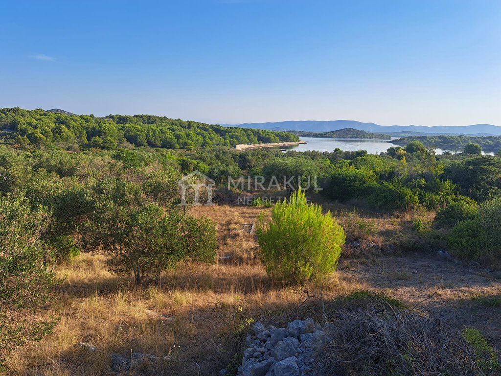 Immobilien Murter, Ackerland mit Meerblick – 3