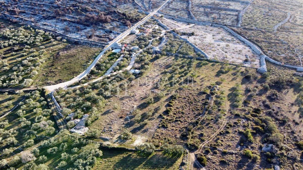 Nekretnine Vodice, Obiteljsko poljoprivredno gospodarstvo na prostranom zemljištu – 3