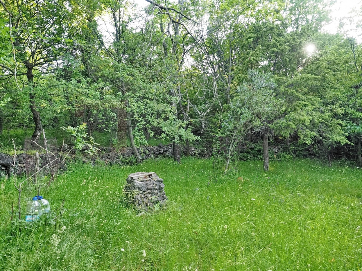 KRK