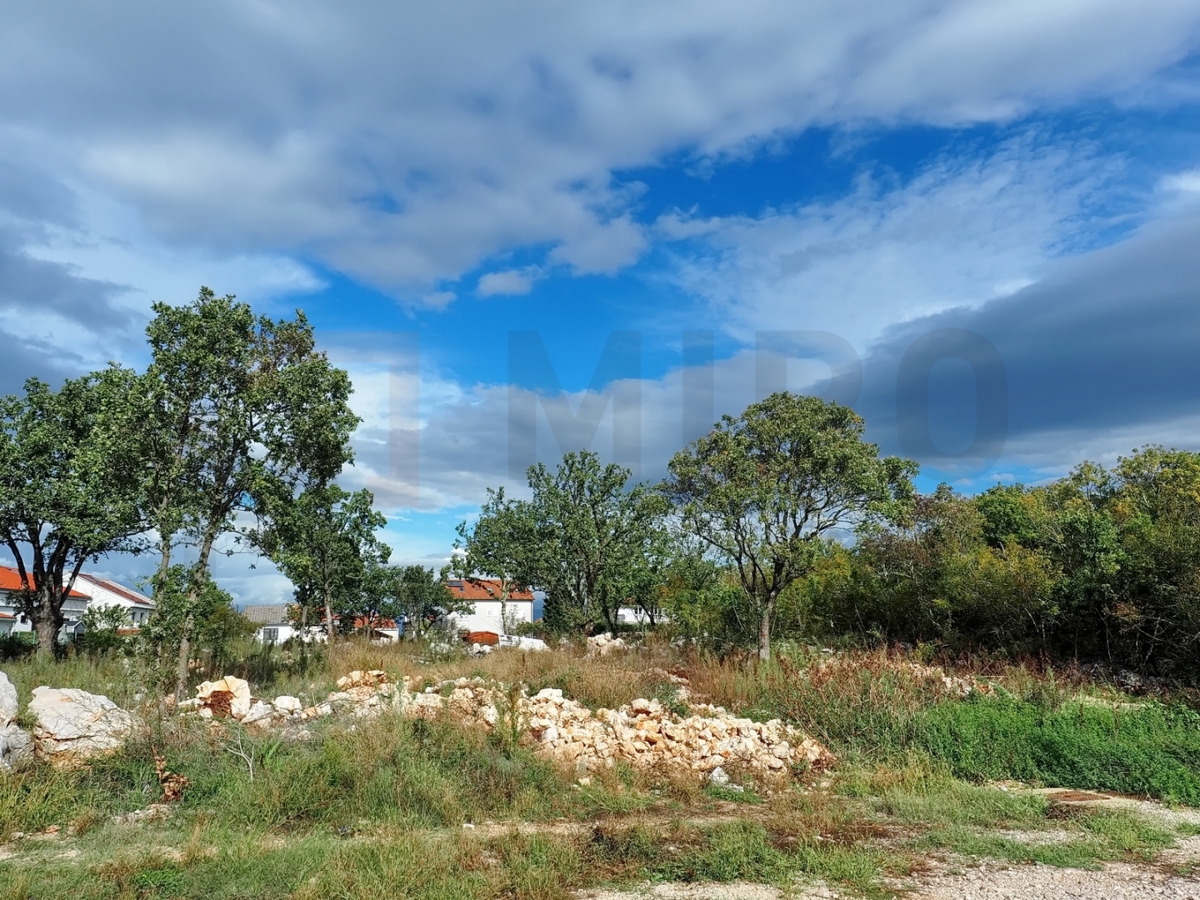 NJIVICE