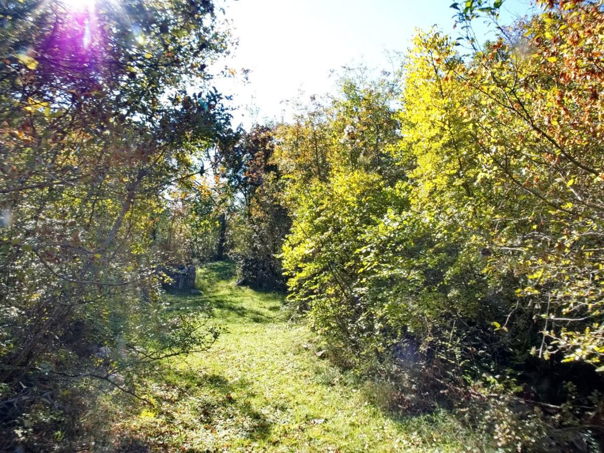 DOBRINJ