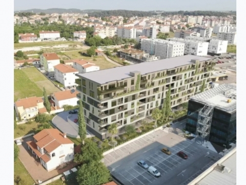 PULA