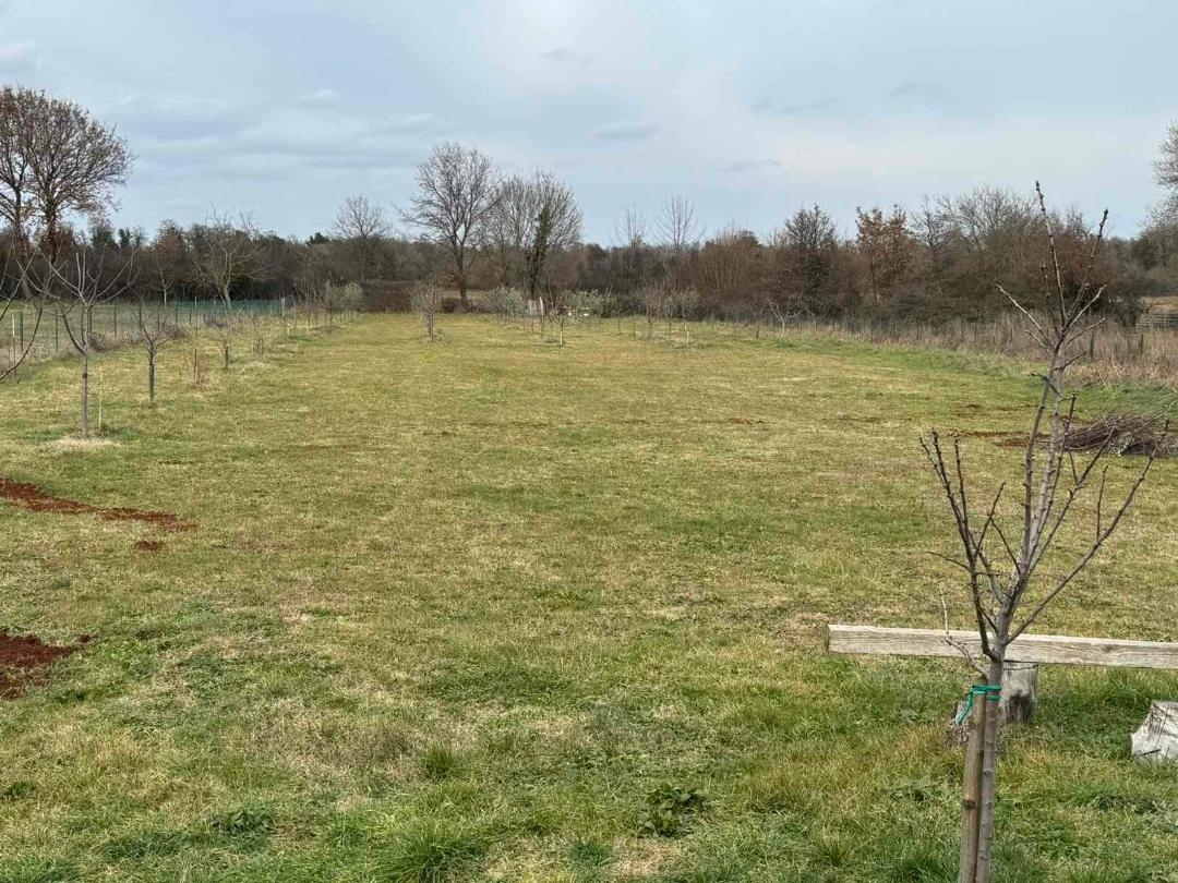 Участок MARČANA, 312.000 €