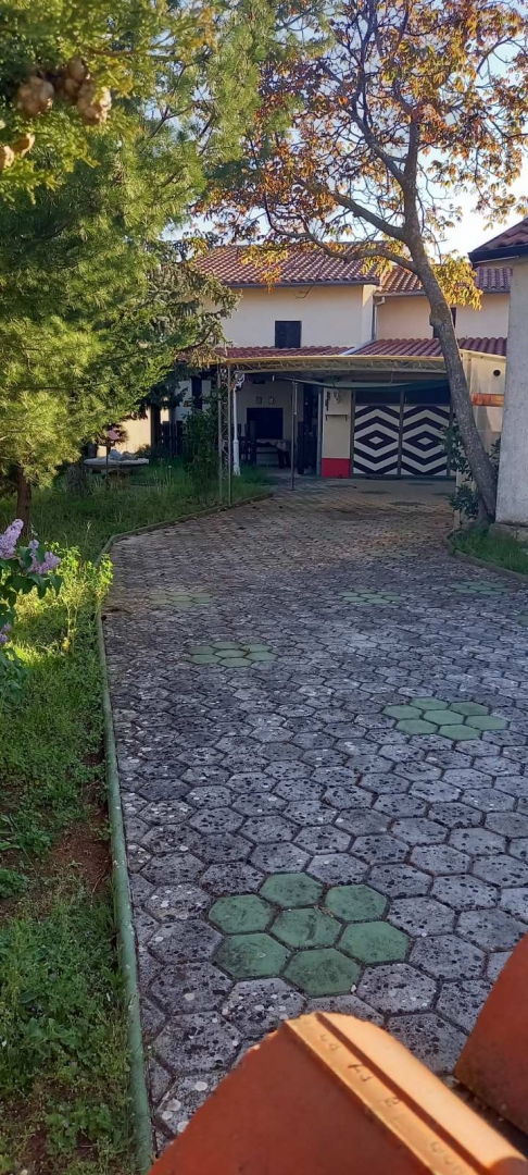 ŽMINJ