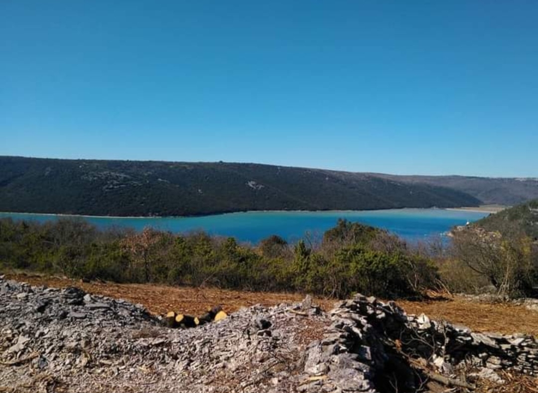 LABIN