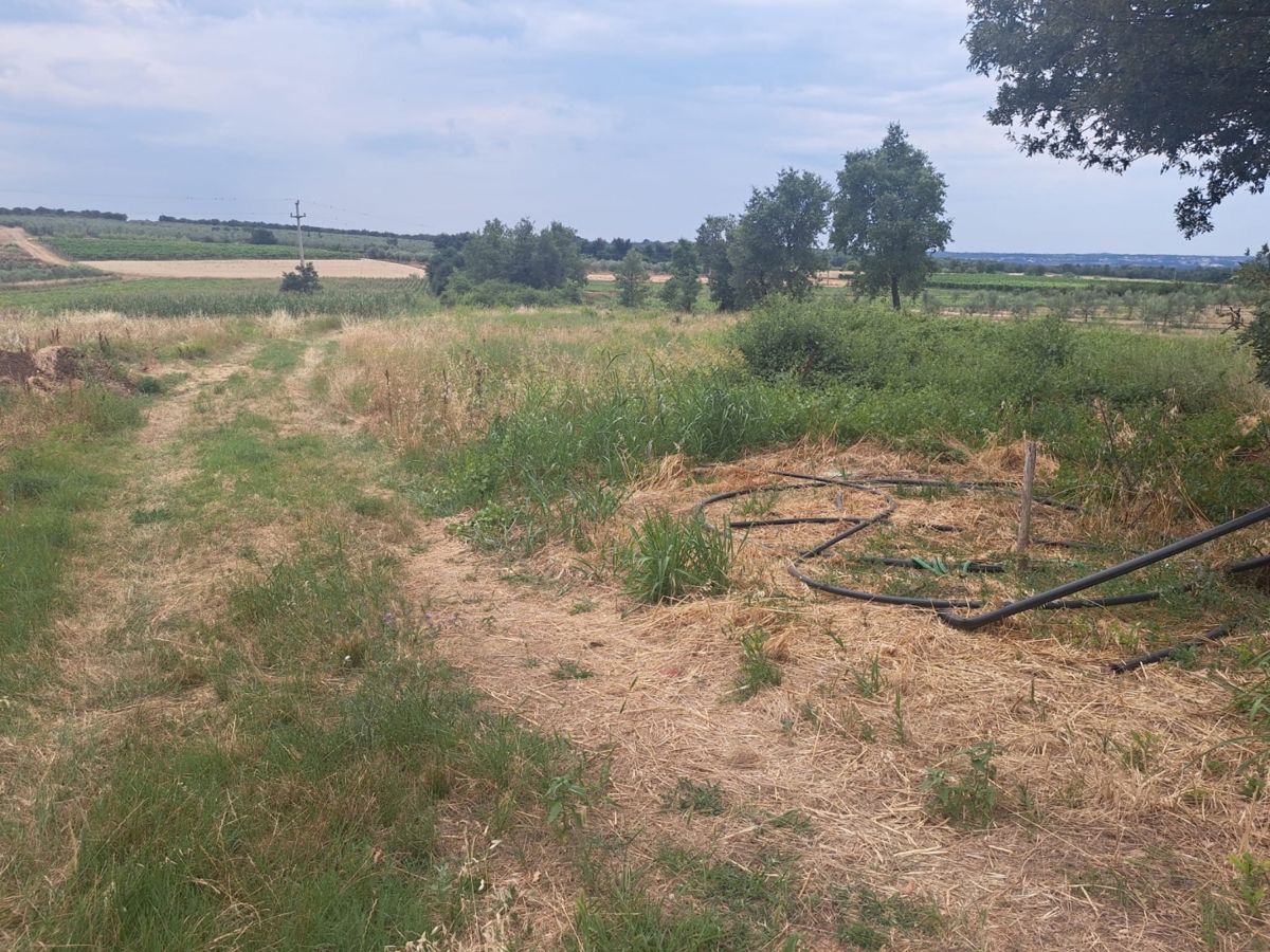 Terreno KAŠTELIR - LABINCI, 187.000 €