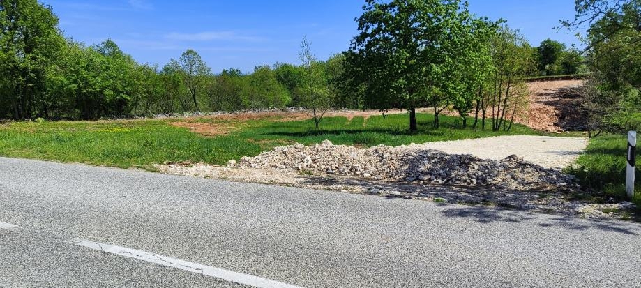 ROJNIĆI