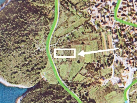 PREMANTURA
