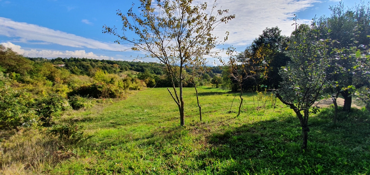 GRAČIŠĆE