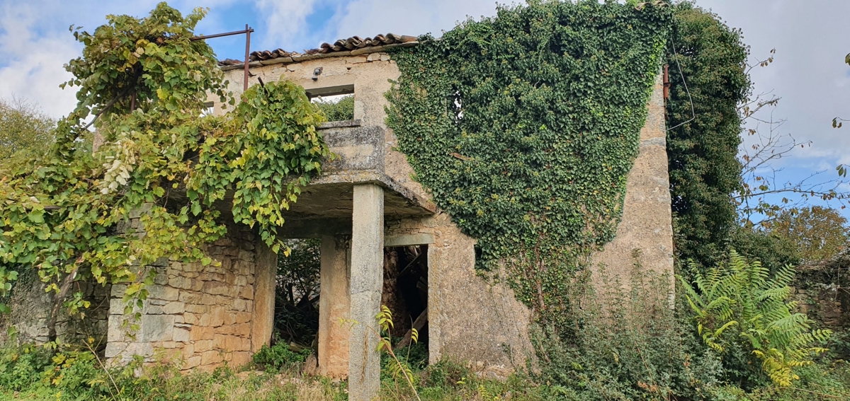 GRAČIŠĆE