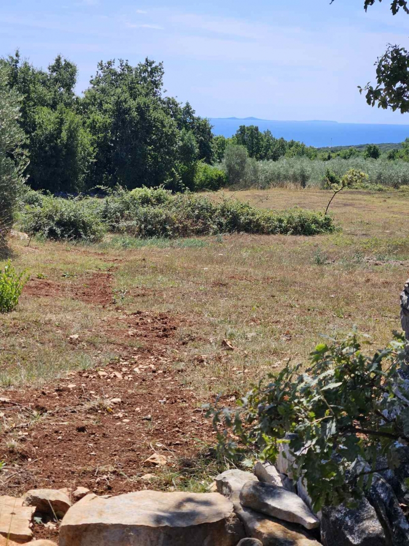 KRNICA
