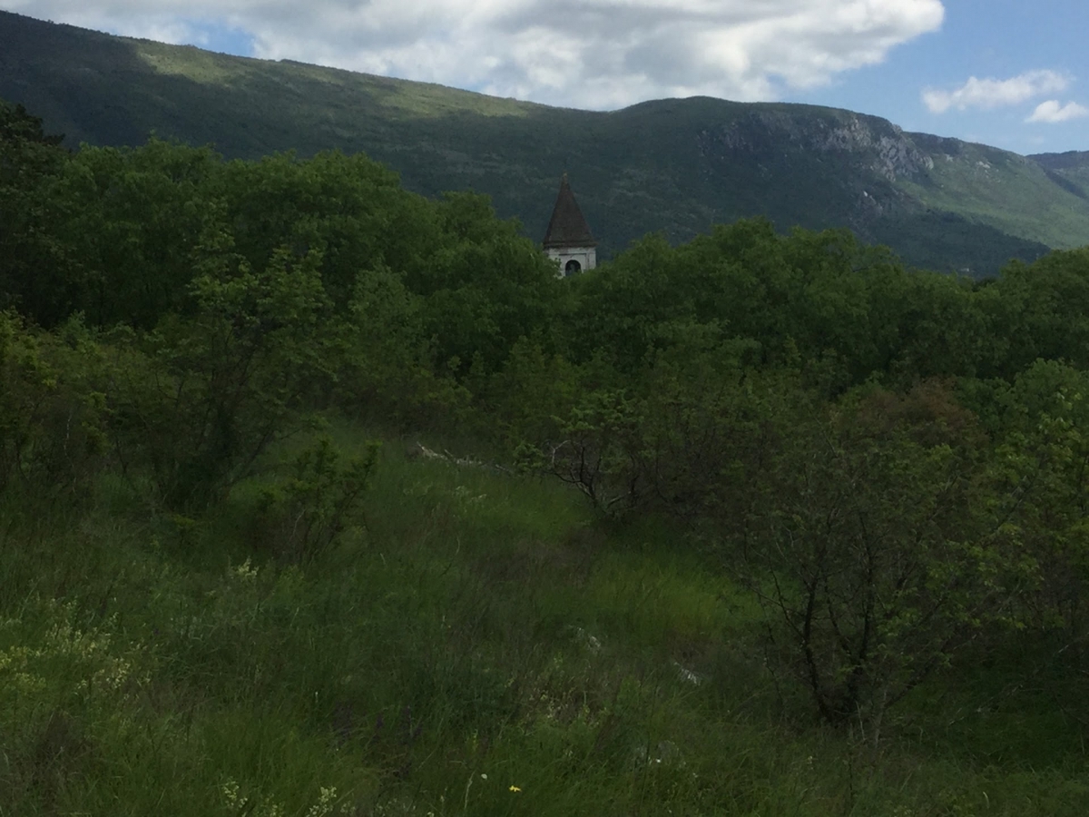 ŠUŠNJEVICA