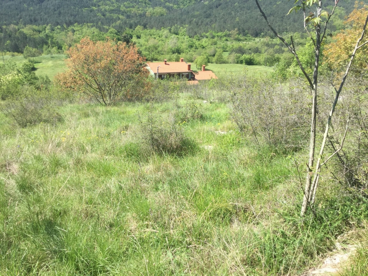 ŠUŠNJEVICA