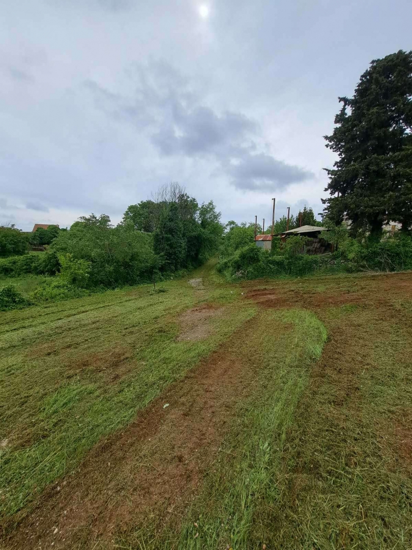DIVŠIĆI