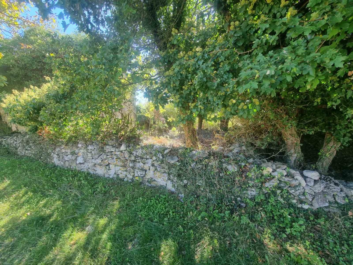 SVETVINČENAT