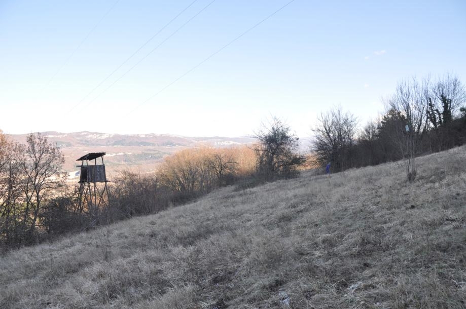 BUZET