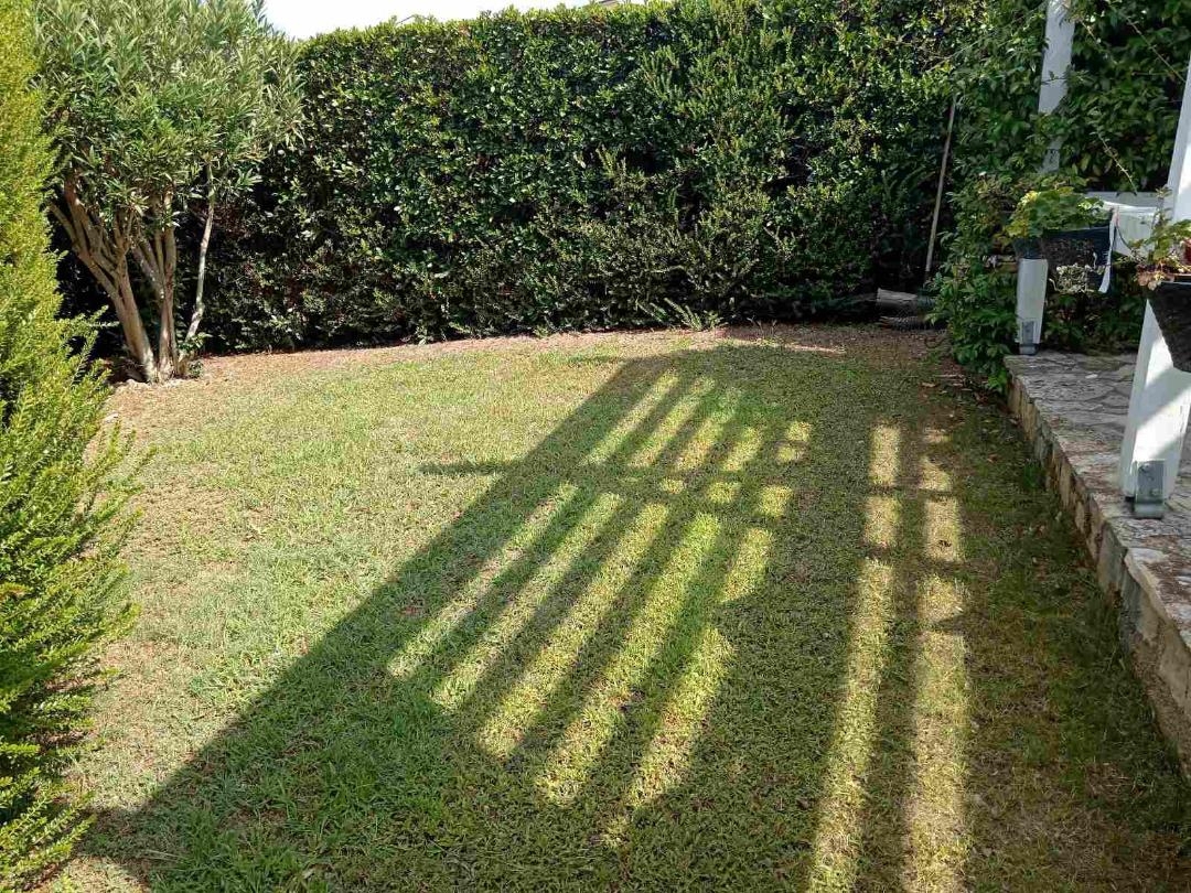 BANJOLE