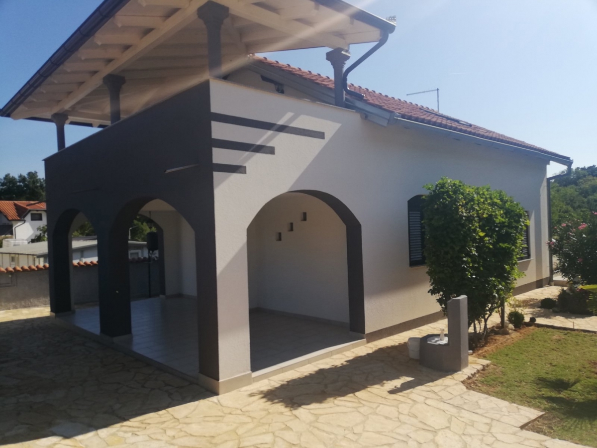 PAVIĆINI