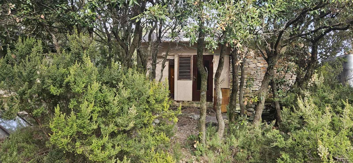 PAVIĆINI