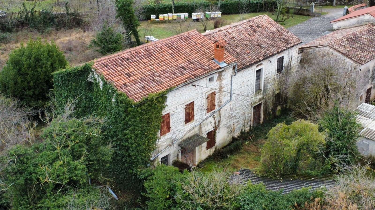 image 18