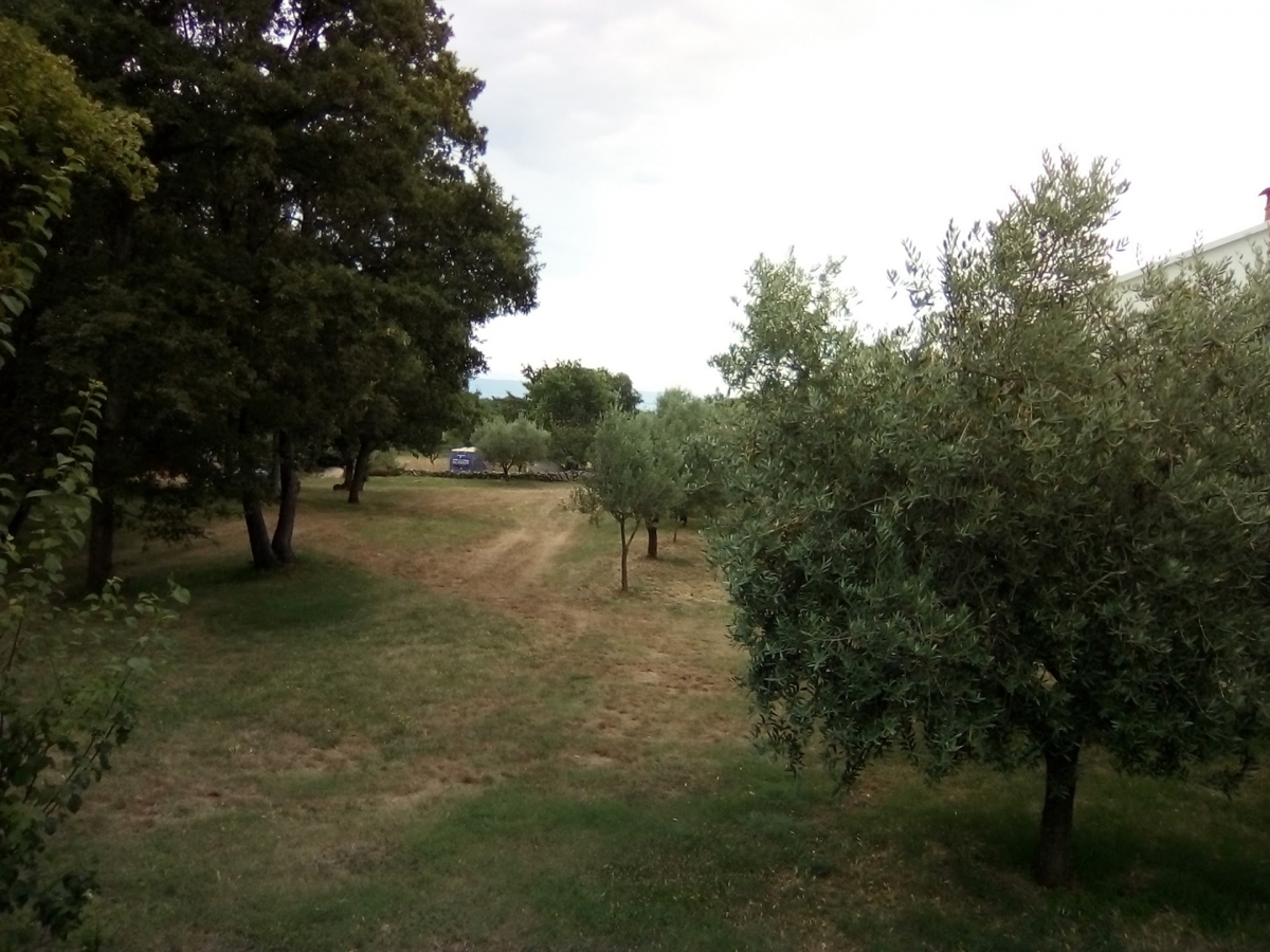 RAKALJ