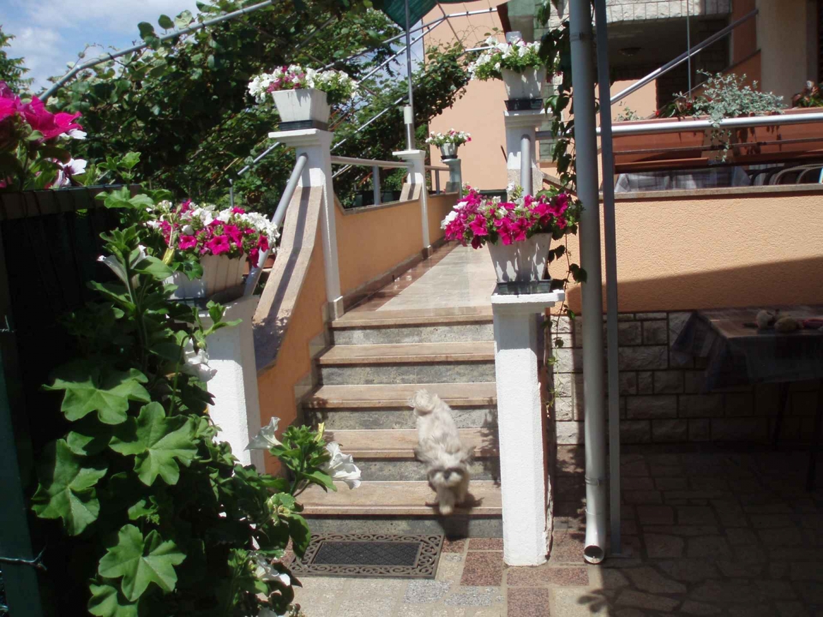 FAŽANA