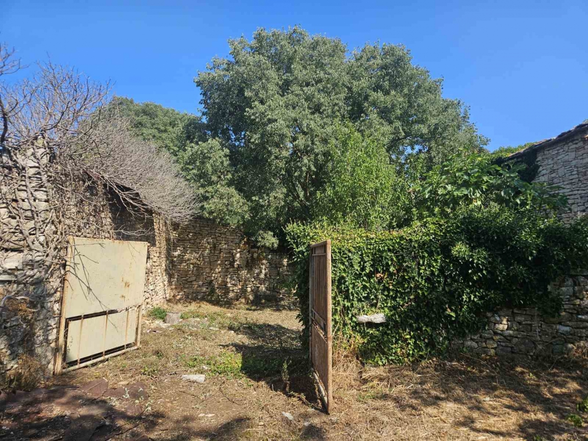 DIVŠIĆI