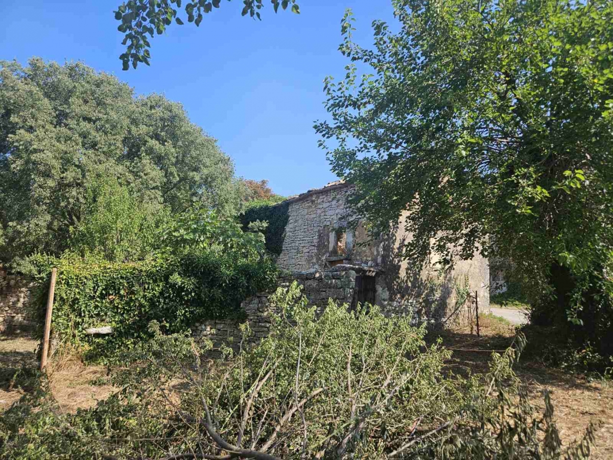DIVŠIĆI
