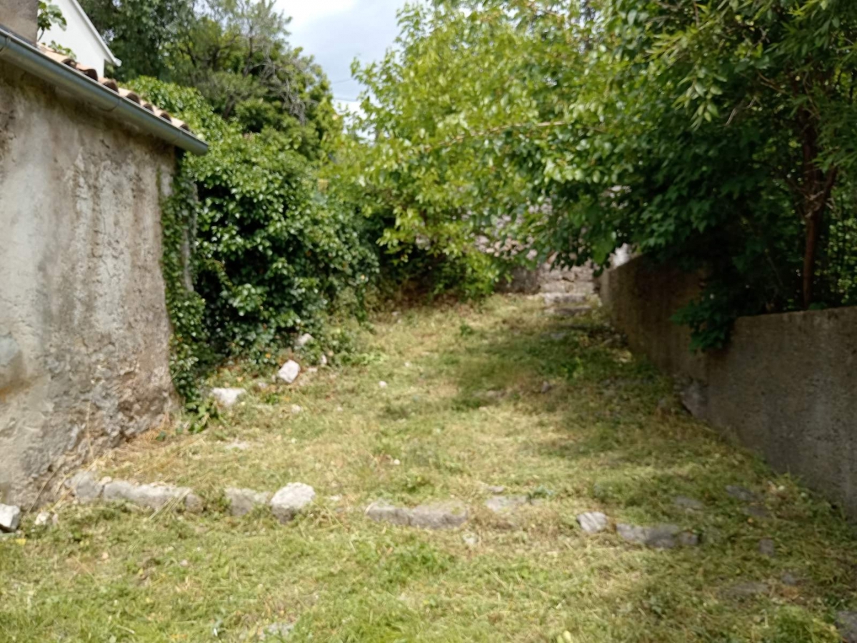 SMOKVICA KRMPOTSKA