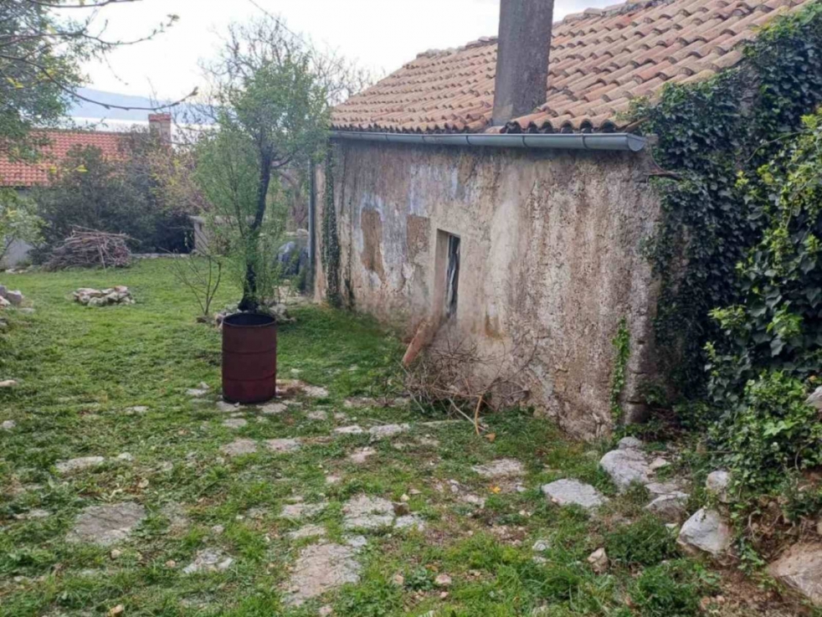 SMOKVICA KRMPOTSKA