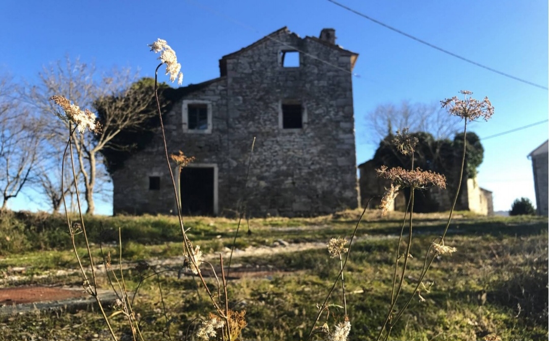 GROŽNJAN