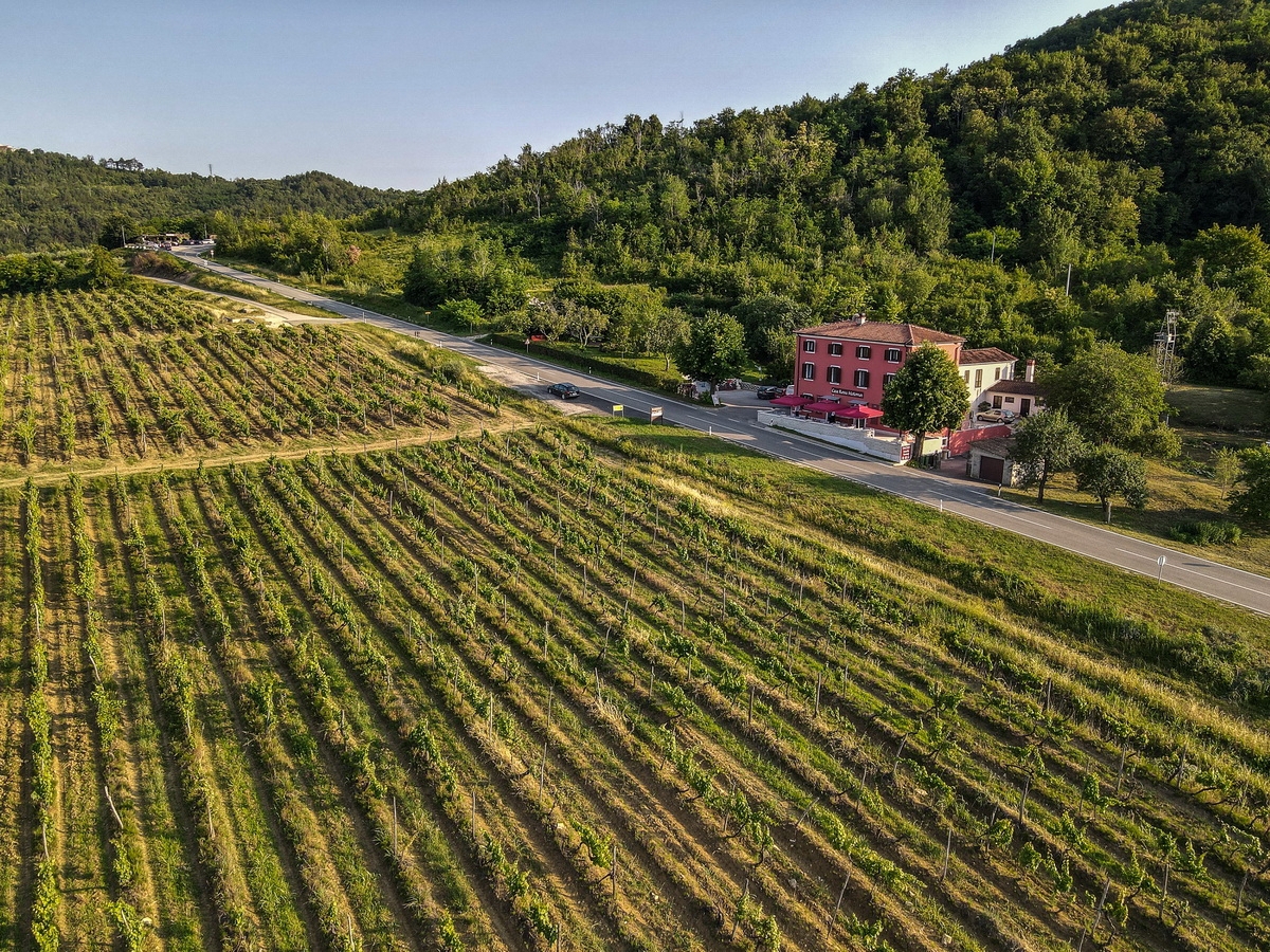 MOTOVUN