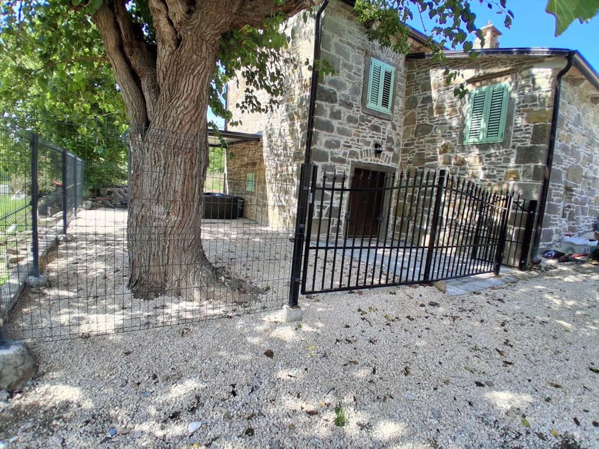 BUZET