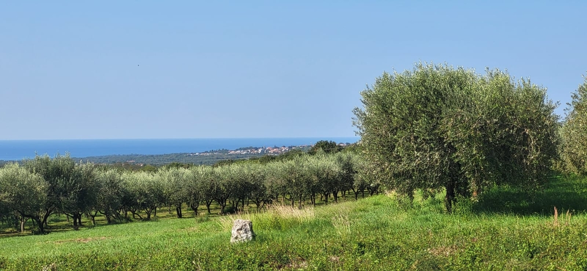 Участок KAŠTELIR - LABINCI, 180.000 €