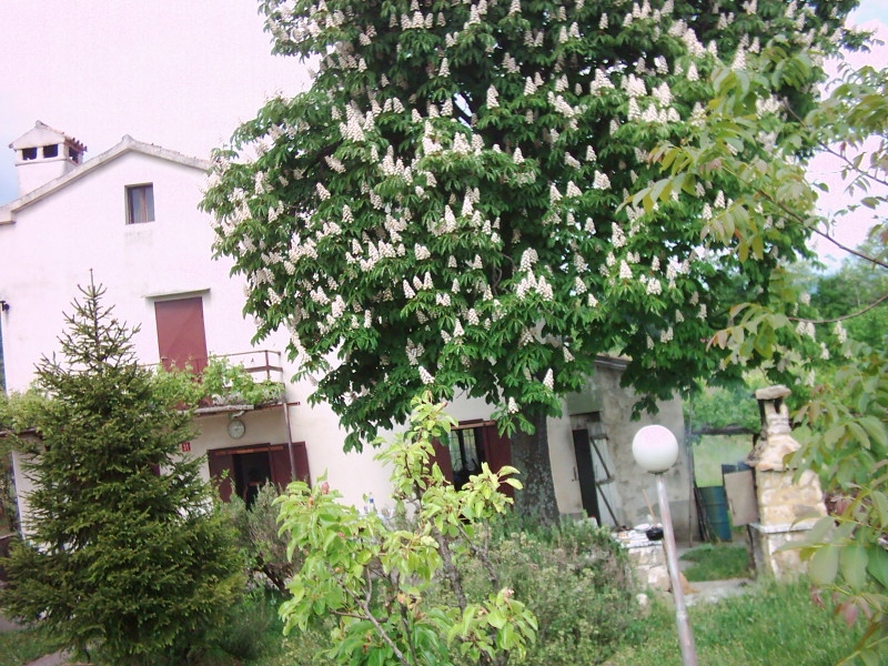 BOLJUN