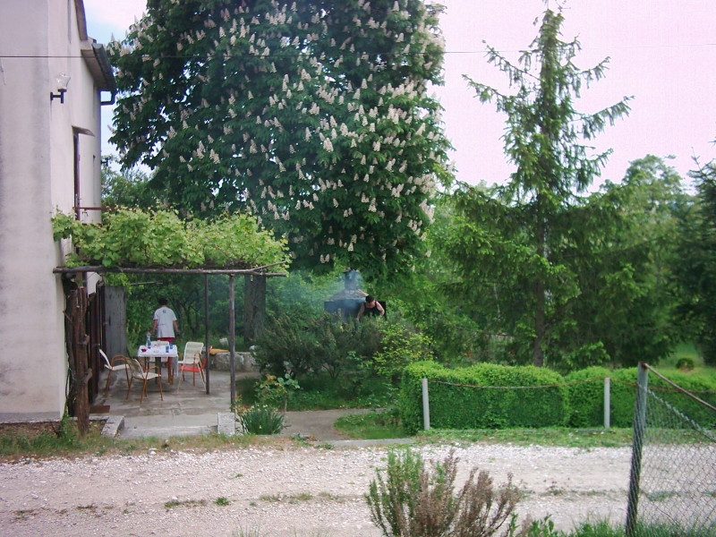 BOLJUN