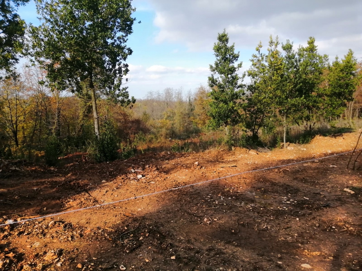 Terreno UMAG, 165.000 €