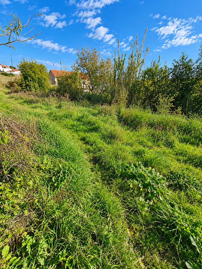 Vintijan, Medulin, 805m2 – 2