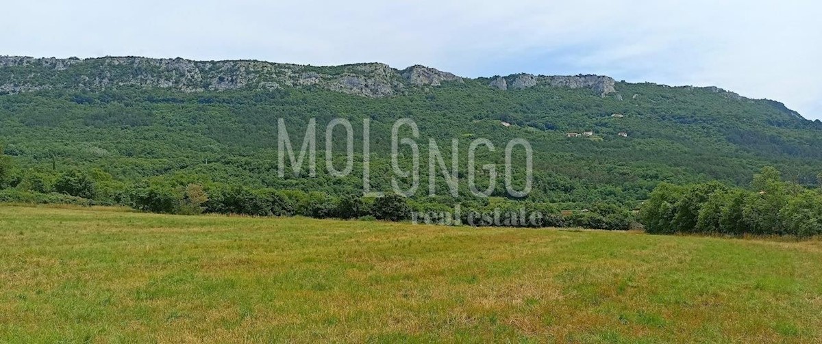 SVETI MARTIN