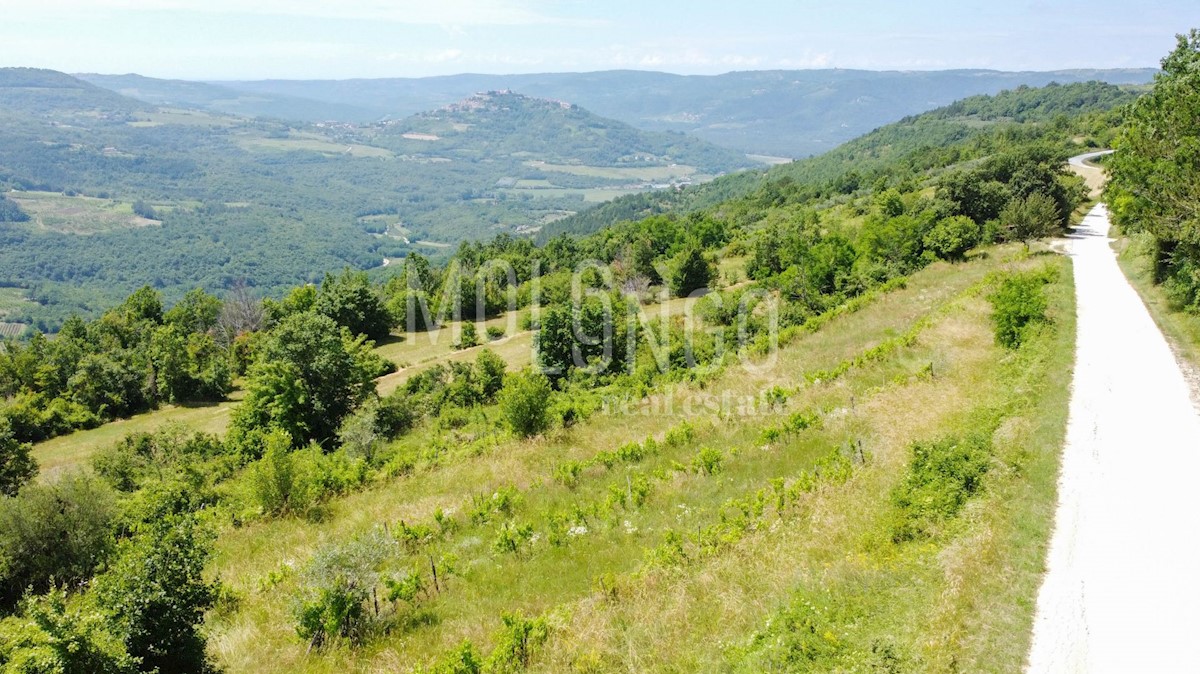 MOTOVUN