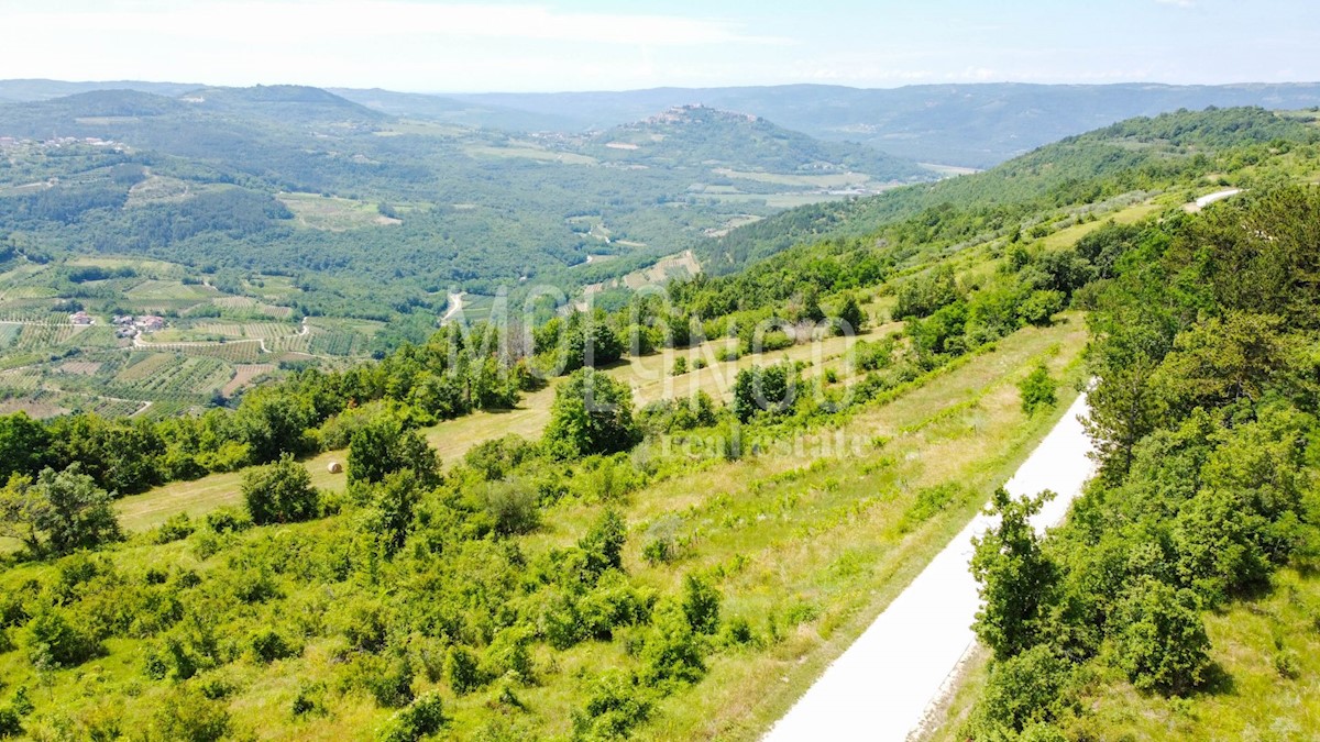 MOTOVUN