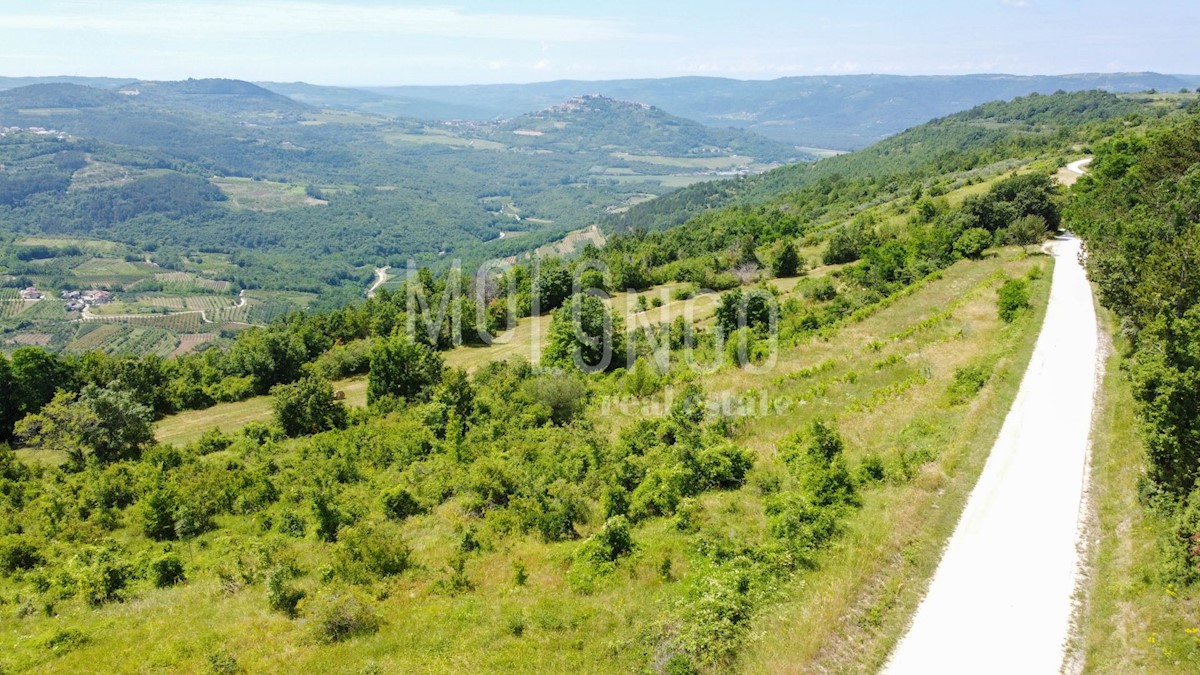 MOTOVUN