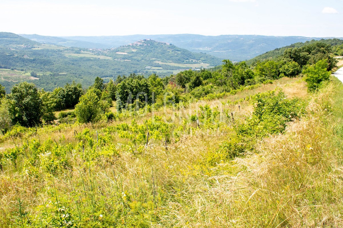 MOTOVUN