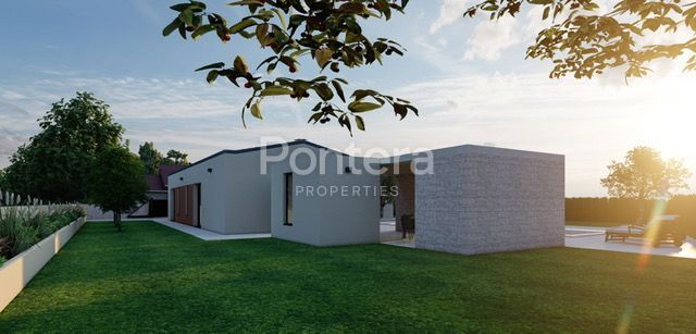 image 23