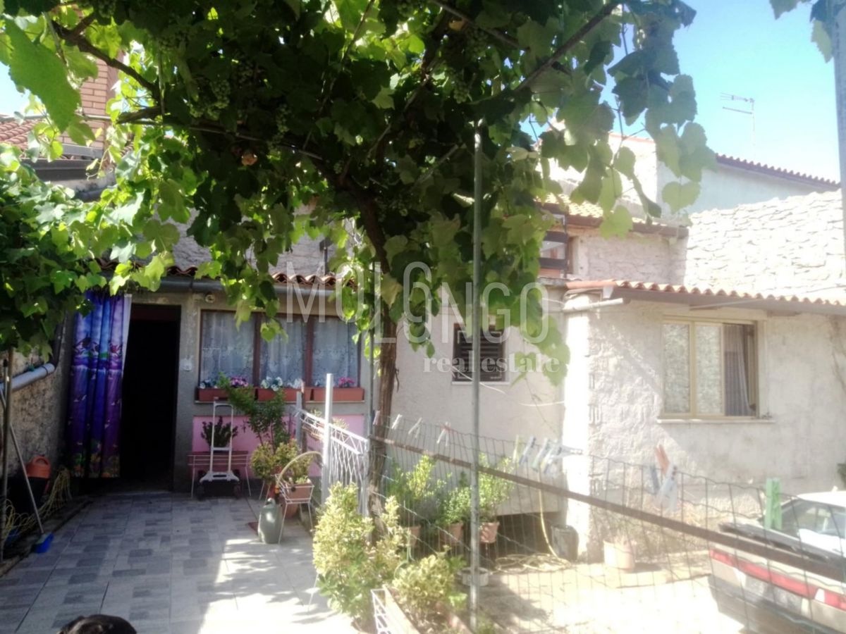 BRTONIGLA