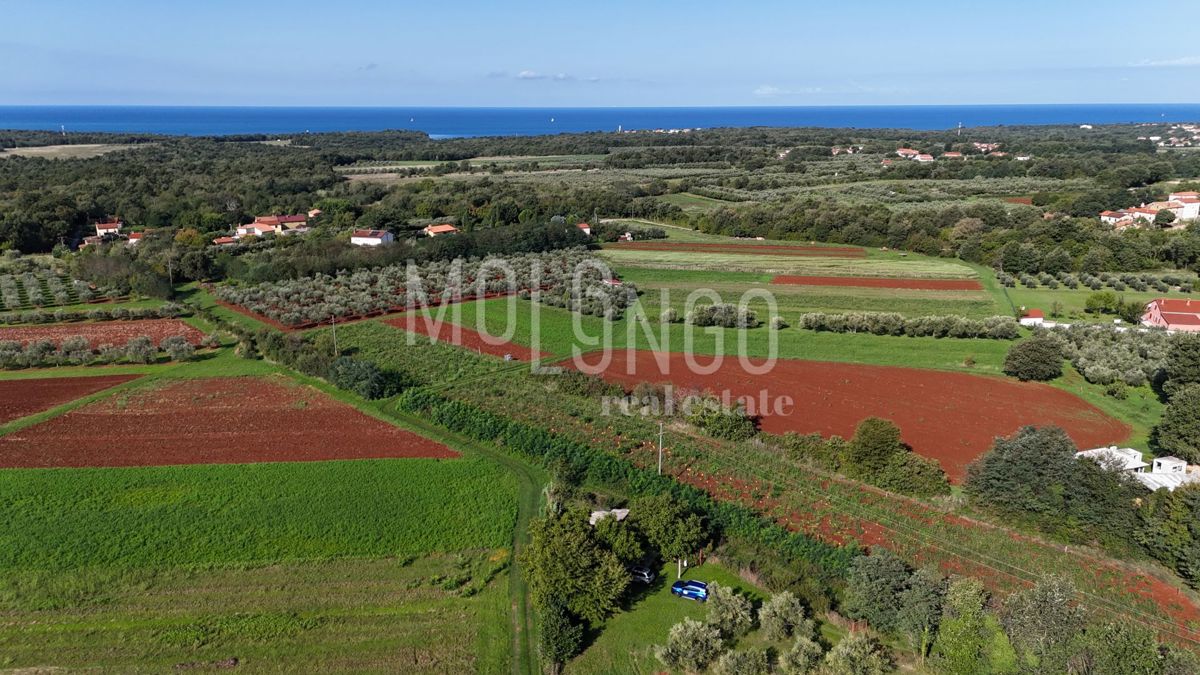 Terreno UMAG, 195.000 €