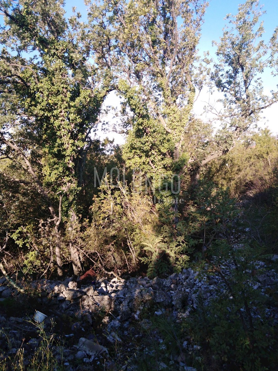 JADRANOVO