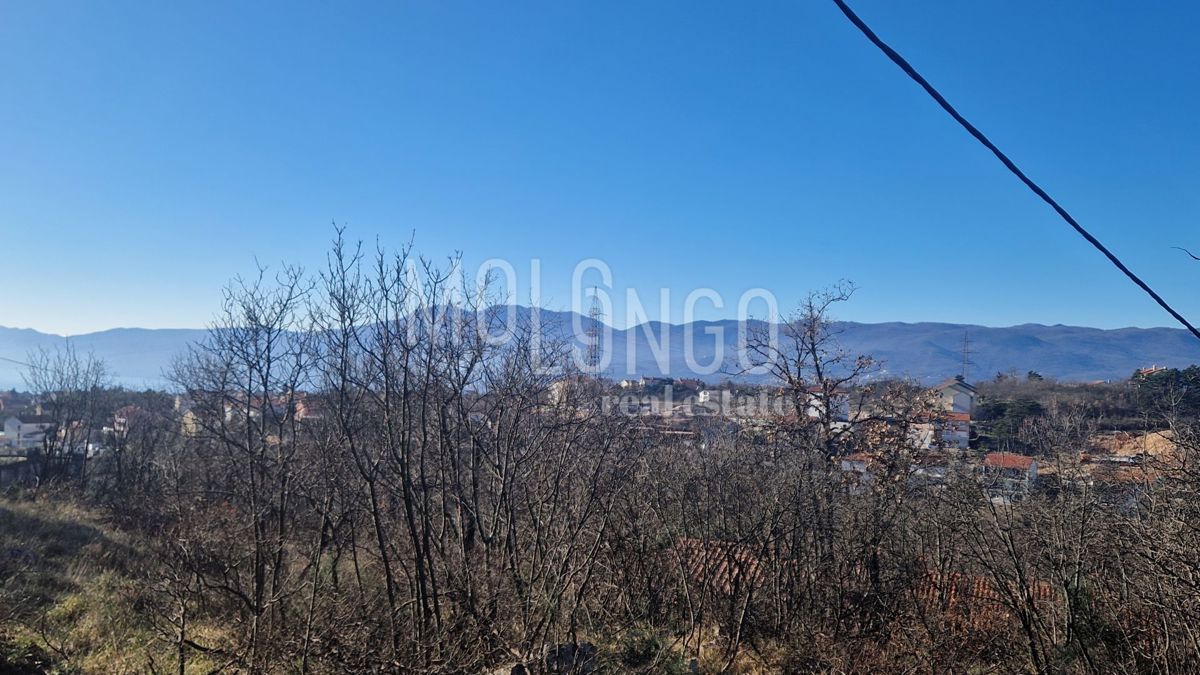 MARINIĆI