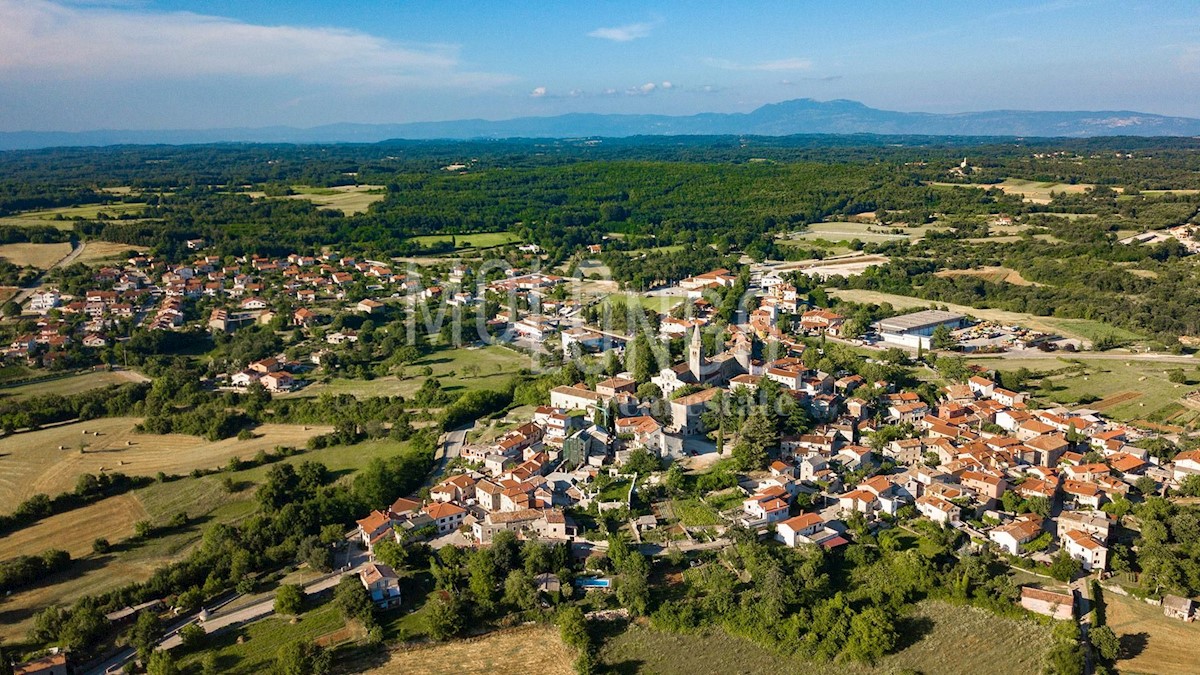 JURIĆI